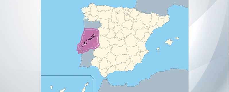 Los pueblos prerromanos: Lusitanos en la Península Ibérica