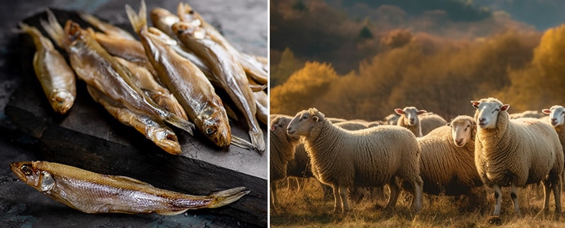 Ganadería Pesca Ibérica
