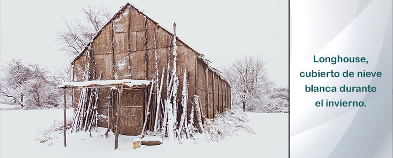 Longhouse Vikingos