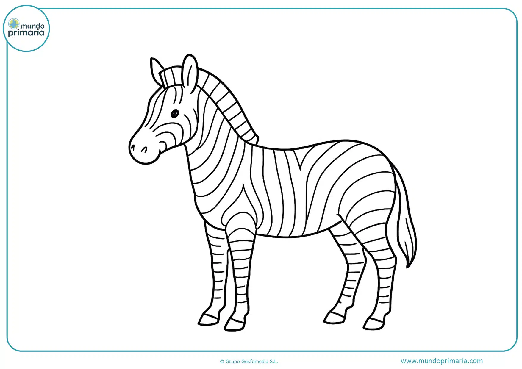 Cebra para colorear con fondo blanco, dibujo fácil para niños